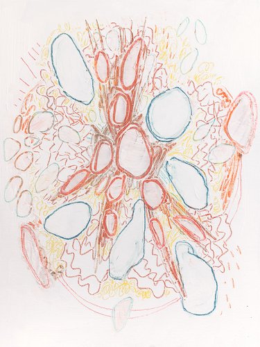 adrianewachholz-digginlight2023-11