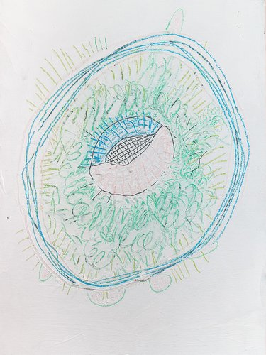 adrianewachholz-digginlight2023-21